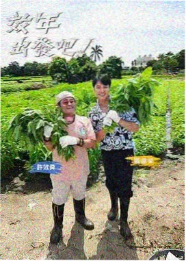 一年一度喜剧大赛 综艺在线播放